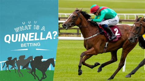 what is a quinella bet|Quinella Bet In Horse Racing (What It Is And How It Works).